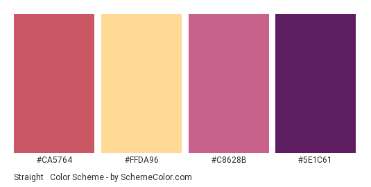 Straight & Crooked - Color scheme palette thumbnail - #CA5764 #FFDA96 #C8628B #5E1C61 