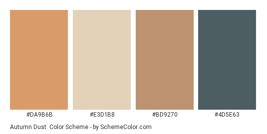 Autumn Dust - Color scheme palette thumbnail - #DA9B6B #E3D1B8 #BD9270 #4D5E63 