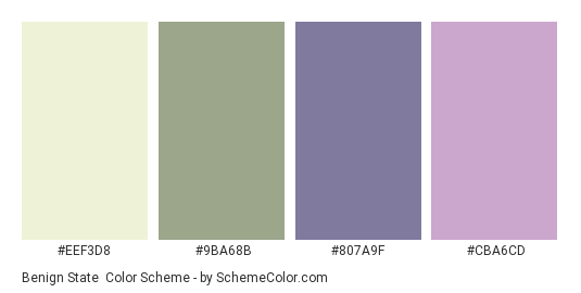 Benign State - Color scheme palette thumbnail - #EEF3D8 #9BA68B #807A9F #CBA6CD 