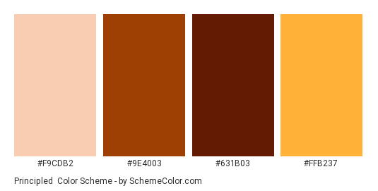 Principled - Color scheme palette thumbnail - #F9CDB2 #9E4003 #631B03 #FFB237 