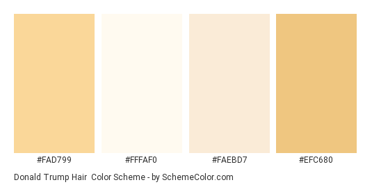 Donald Trump Hair - Color scheme palette thumbnail - #FAD799 #FFFAF0 #FAEBD7 #EFC680 