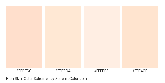 Rich Skin - Color scheme palette thumbnail - #FFDFCC #FFE8D4 #FFEEE3 #FFE4CF 