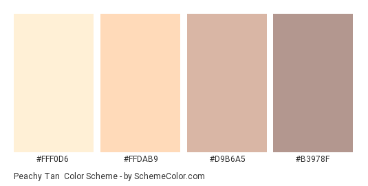 Peachy Tan - Color scheme palette thumbnail - #FFF0D6 #FFDAB9 #D9B6A5 #B3978F 