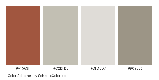 Lacy Curtains, Old Window - Color scheme palette thumbnail - #a1563f #c2bfb3 #dfdcd7 #9c9586 