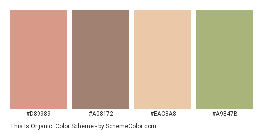 This is Organic - Color scheme palette thumbnail - #d89989 #a08172 #eac8a8 #a9b47b 