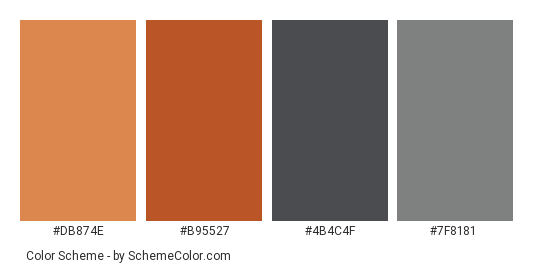 Orange Grey Leather Belts - Color scheme palette thumbnail - #db874e #b95527 #4b4c4f #7f8181 