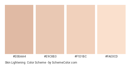 Skin Lightening - Color scheme palette thumbnail - #e0baa4 #e9c8b3 #f1d1bc #fae0cd 