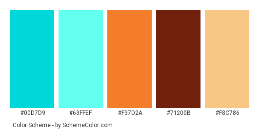 I’m Special - Color scheme palette thumbnail - #00d7d9 #63ffef #f37d2a #71200b #f8c786 