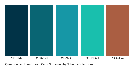 Question for the Ocean - Color scheme palette thumbnail - #013347 #096573 #1697A6 #19BFAD #AA5E42 