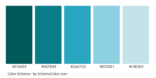 Perfect Sky and Ocean Waves - Color scheme palette thumbnail - #015A59 #0A7B88 #2AA7C0 #8CD0E1 #C4E3E9 