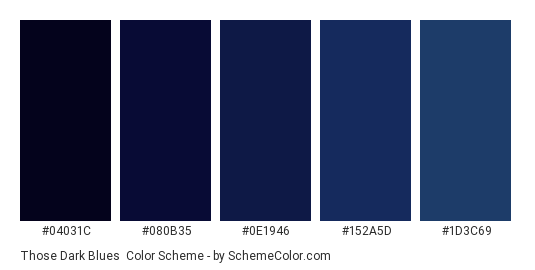 Those Dark Blues - Color scheme palette thumbnail - #04031C #080B35 #0E1946 #152A5D #1D3C69 