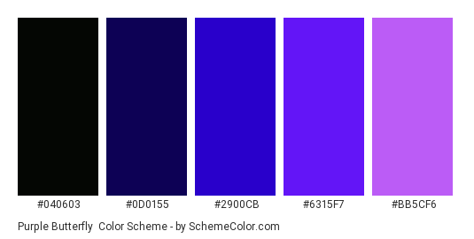 Purple Butterfly - Color scheme palette thumbnail - #040603 #0d0155 #2900cb #6315f7 #bb5cf6 