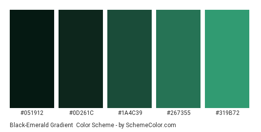 Black-Emerald Gradient - Color scheme palette thumbnail - #051912 #0D261C #1A4C39 #267355 #319B72 