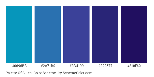 Palette of Blues - Color scheme palette thumbnail - #0696bb #2a71b0 #3B4199 #292577 #210F60 