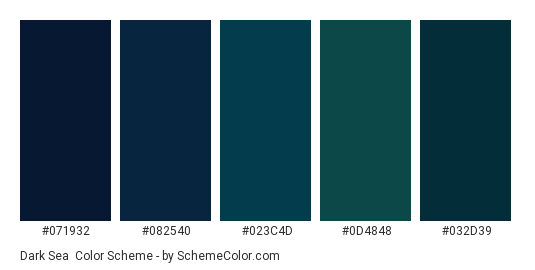Dark Sea - Color scheme palette thumbnail - #071932 #082540 #023c4d #0d4848 #032d39 