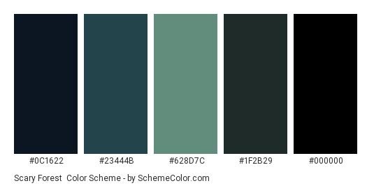 Scary Forest - Color scheme palette thumbnail - #0C1622 #23444B #628D7C #1F2B29 #000000 