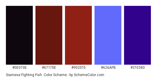 Siamese Fighting Fish - Color scheme palette thumbnail - #0E070E #67170E #902015 #626AFB #31038D 