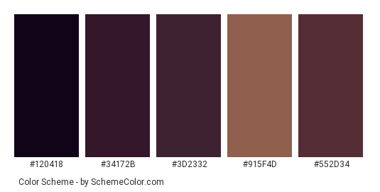 Royalty Leather - Color scheme palette thumbnail - #120418 #34172b #3d2332 #915f4d #552d34 