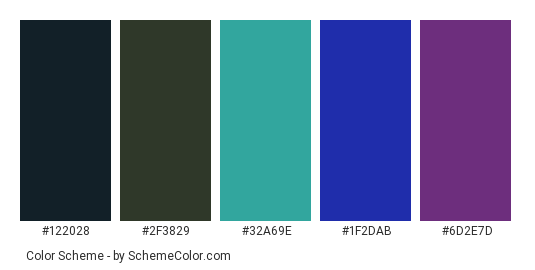 Indian Morpankh - Color scheme palette thumbnail - #122028 #2F3829 #32A69E #1F2DAB #6D2E7D 