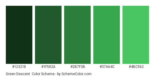 Green Descent - Color scheme palette thumbnail - #123218 #1F582A #2B7F3B #37A64C #4BC562 
