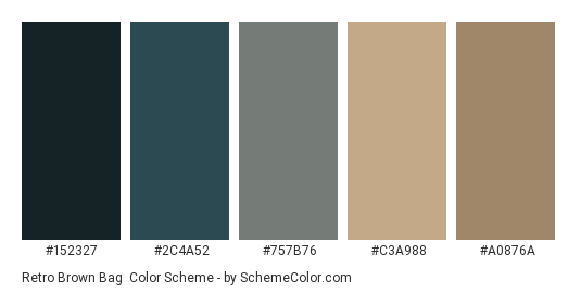 Retro Brown Bag - Color scheme palette thumbnail - #152327 #2c4a52 #757b76 #c3a988 #a0876a 