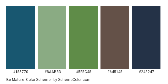 https://www.schemecolor.com/wp-content/themes/colorsite/include/cc5.php?color0=185770&color1=8aab83&color2=5f8c48&color3=645148&color4=243247&pn=Be%20Mature