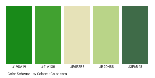 Healthy Greens - Color scheme palette thumbnail - #198a19 #41a130 #e6e2b8 #b9d488 #3f6b48 
