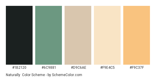 Naturally - Color scheme palette thumbnail - #1B2120 #6C9881 #D9C6AE #F9E4C5 #F9C37F 