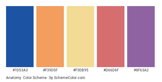 Anatomy - Color scheme palette thumbnail - #1D53A3 #F39D5F #F3DB95 #D66D6F #8F63A2 