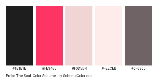 Probe the Soul - Color scheme palette thumbnail - #1E1E1E #FE3465 #F0D5D4 #FEECEB #6F6365 
