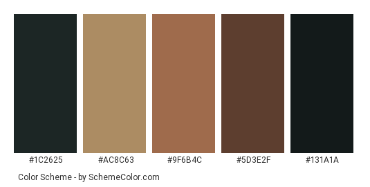 Capturing Nature - Color scheme palette thumbnail - #1c2625 #ac8c63 #9f6b4c #5d3e2f #131a1a 