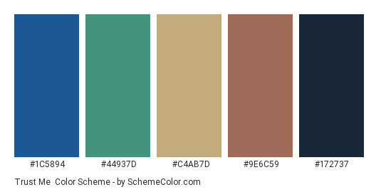 Trust Me - Color scheme palette thumbnail - #1c5894 #44937d #c4ab7d #9e6c59 #172737 