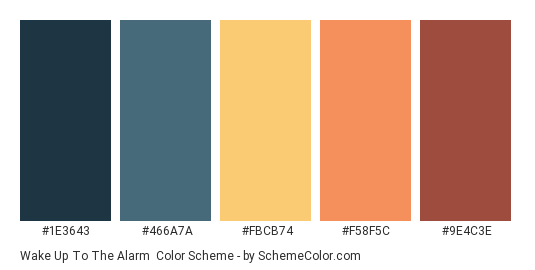 Wake Up to the Alarm - Color scheme palette thumbnail - #1e3643 #466a7a #fbcb74 #f58f5c #9e4c3e 