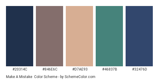 Make a Mistake - Color scheme palette thumbnail - #20314C #846E6C #D7AE93 #46837B #32476D 