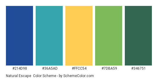 Natural Escape - Color scheme palette thumbnail - #214D98 #36A5AD #FFCC54 #7DBA59 #346751 