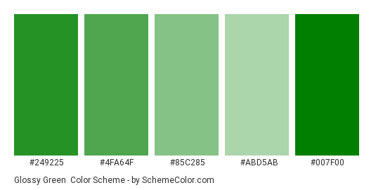 Glossy Green - Color scheme palette thumbnail - #249225 #4fa64f #85c285 #abd5ab #007f00 