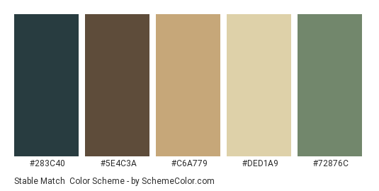 Stable Match - Color scheme palette thumbnail - #283C40 #5E4C3A #C6A779 #DED1A9 #72876C 