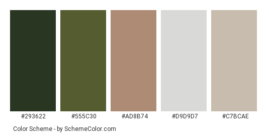 Coffee on a Table - Color scheme palette thumbnail - #293622 #555c30 #ad8b74 #d9d9d7 #c7bcae 