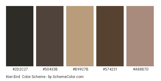 Kiwi Bird - Color scheme palette thumbnail - #2D2C27 #50433B #B99C7B #574231 #A88B7D 