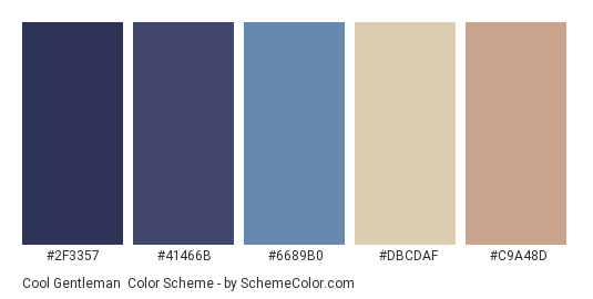 Cool Gentleman - Color scheme palette thumbnail - #2F3357 #41466B #6689B0 #DBCDAF #C9A48D 