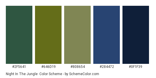 Night in the Jungle - Color scheme palette thumbnail - #2f5641 #646d19 #808654 #284472 #0f1f39 