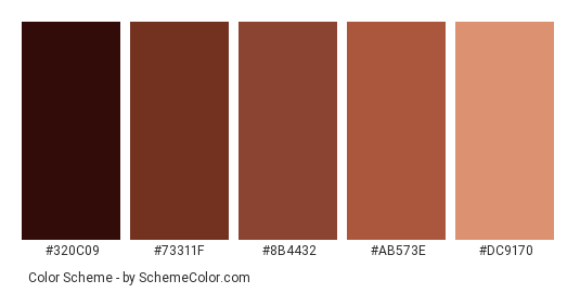 Soft As A Rock - Color scheme palette thumbnail - #320c09 #73311f #8b4432 #ab573e #dc9170 