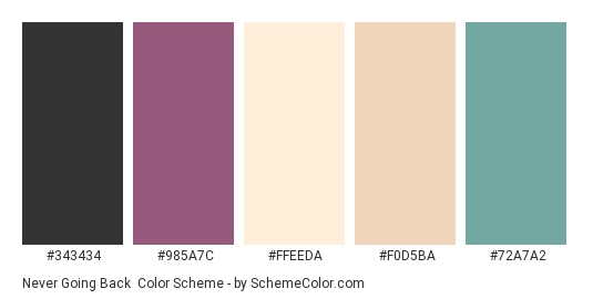 Never Going Back - Color scheme palette thumbnail - #343434 #985a7c #ffeeda #f0d5ba #72a7a2 