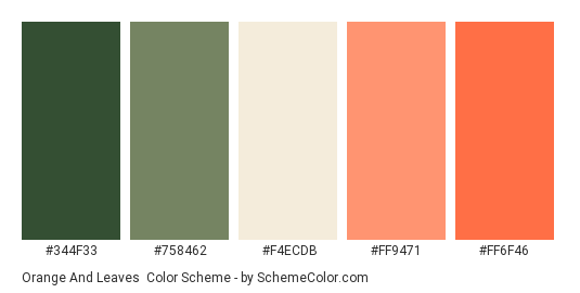 Orange and Leaves - Color scheme palette thumbnail - #344F33 #758462 #F4ECDB #FF9471 #FF6F46 