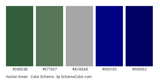 Hunter Green & Navy Blue - Color scheme palette thumbnail - #345d3b #577657 #a7a5a8 #000183 #000062 
