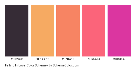 Falling in Love - Color scheme palette thumbnail - #362C36 #F6AA62 #F78463 #FB647A #DB36A0 