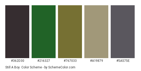 Still a Boy - Color scheme palette thumbnail - #362d30 #216327 #767033 #a19879 #5a575e 