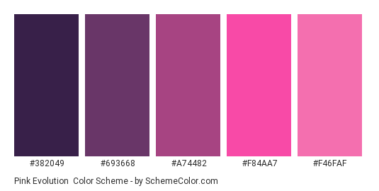 Pink Evolution - Color scheme palette thumbnail - #382049 #693668 #a74482 #f84aa7 #F46FAF 