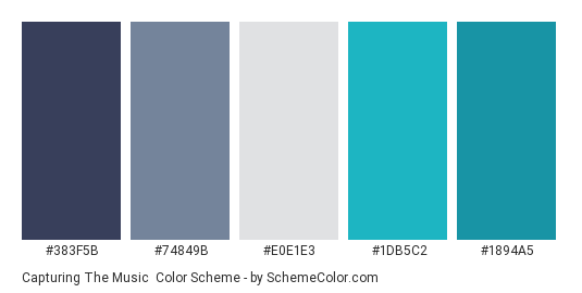 Capturing the Music - Color scheme palette thumbnail - #383F5B #74849B #E0E1E3 #1DB5C2 #1894A5 