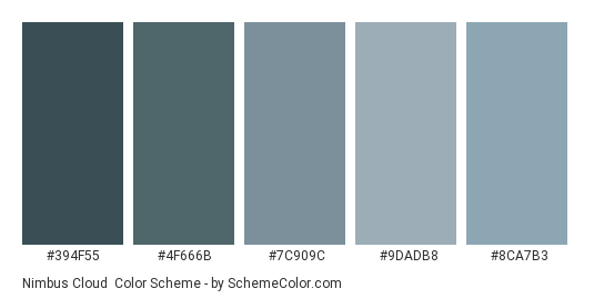 Nimbus Cloud - Color scheme palette thumbnail - #394F55 #4F666B #7C909C #9DADB8 #8CA7B3 